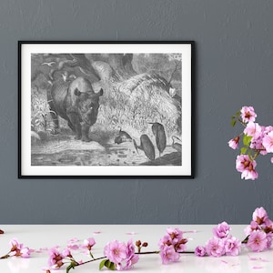 Vintage Rhino Print Downloadable, Rhinoceros wall art, 1880s pen drawing, antique wall art