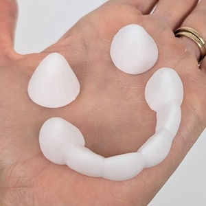 Fursuit teeth - lower jaw 3d printed PLA plastic custom fitted for TeacupLion heads