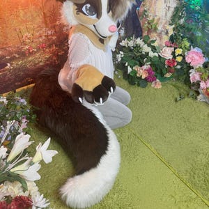 Może przedstawiać: Głowa fursuitu psa z brązowym i białym futrem, r&oacute;żowym nosem i dużymi oczami. Fursuit jest połączony z pasującym ogonem, brązowym u g&oacute;ry i białym na dole. Łapy są brązowe z brązowymi pazurami. Fursuit znajduje się na zielonej powierzchni.