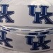 Kentucky Ribbon -  University of Kentucky College Ribbon - 7/8 inch Grosgrain Ribbon-College Sports Ribbon - DIY Craft-Hairbows-Sports Bows