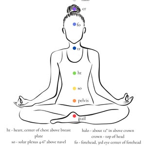 May include: A black and white line drawing of a person sitting in a yoga pose with seven colored circles representing the seven chakras. The chakras are labeled with their names and locations on the body. The image includes the text "CHAKRA CHART" at the top and "TRUEHEALINGSOURCE.COM ©" at the bottom.