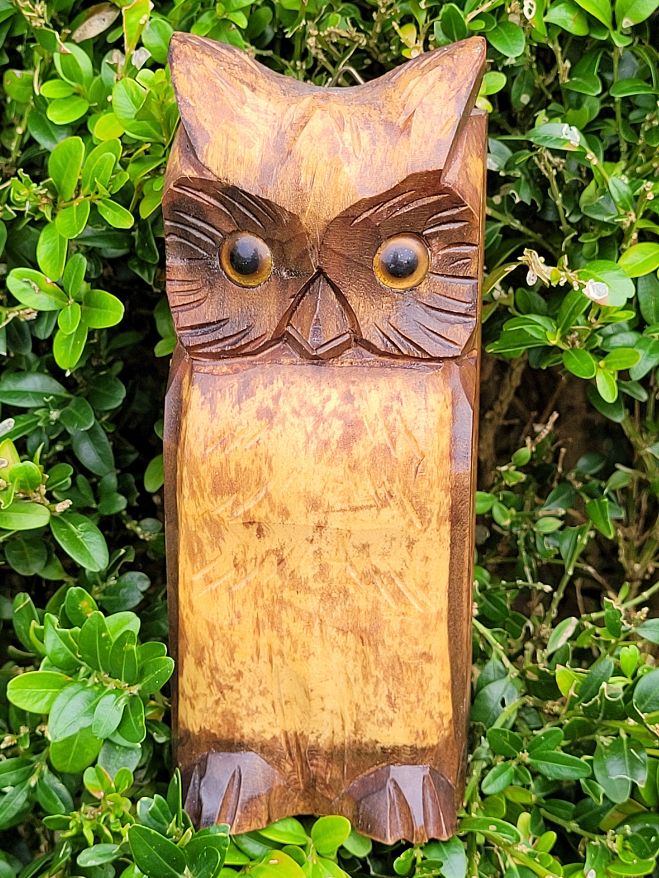 Wooden Owl Clothes Brush holder box