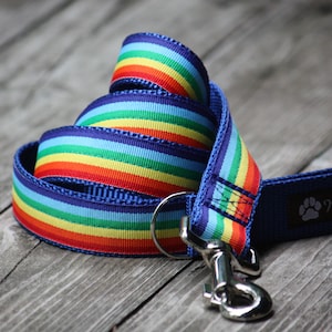 Rainbow Stripe Dog Leash (120cm, 4ft.) / Made in Japan