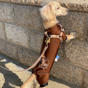 Giraffe Adjustable Dog Step-In Harness / Small, Medium, Large / Made in Japan