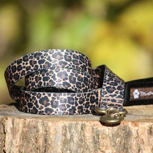Correa para perro leopardo (120 cm, 4 pies) / Fabricada en Japón