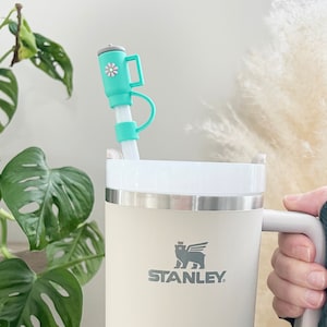 Straw Cap, Tumbler Cup Accessories, Straw Cover, Straw Topper, Teacher Appreciation, Birthday Gifts, Personalized Gifts