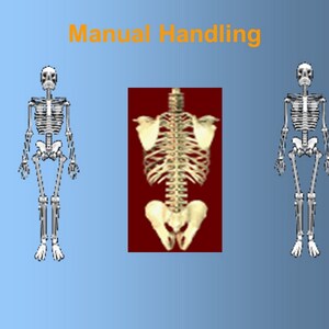 Könnte beinhalten: Illustration eines menschlichen Skeletts in drei Posen, die die Bedeutung der richtigen Körperhaltung und Mechanik für die manuelle Handhabung zeigt.