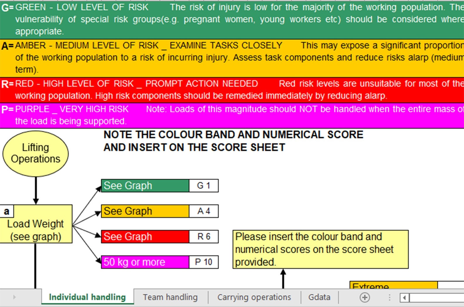 Manual Handling Assessment, Excel File, Workplace Requirement Etsy