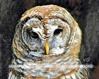 HORNED OWL Night Bird 8x10 Signed Art PRINT of Original Oil Painting by VERN