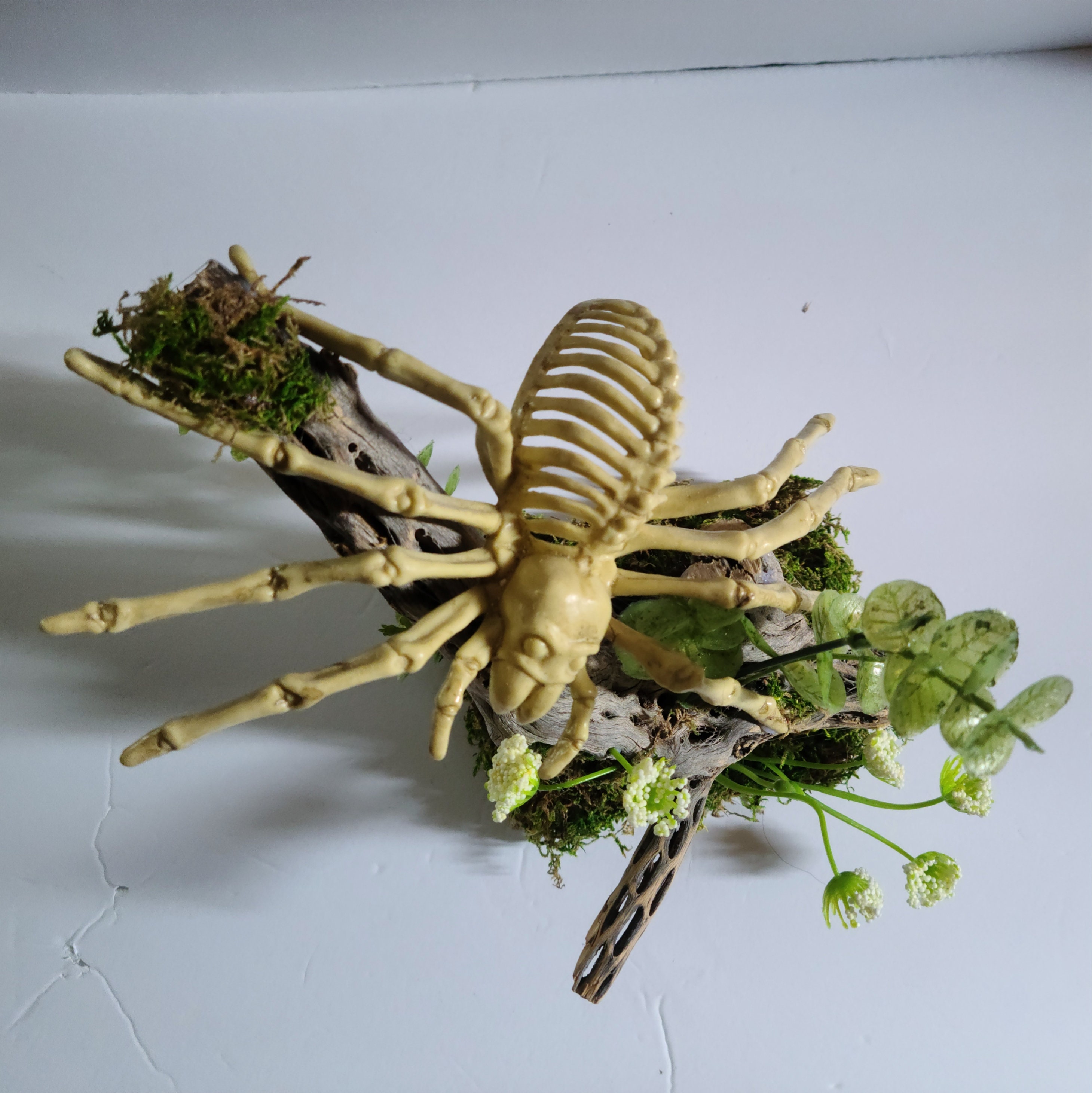 Skull Reptile Decor, Skeleton Tank Decor, Spider Decor, Reptiles ...