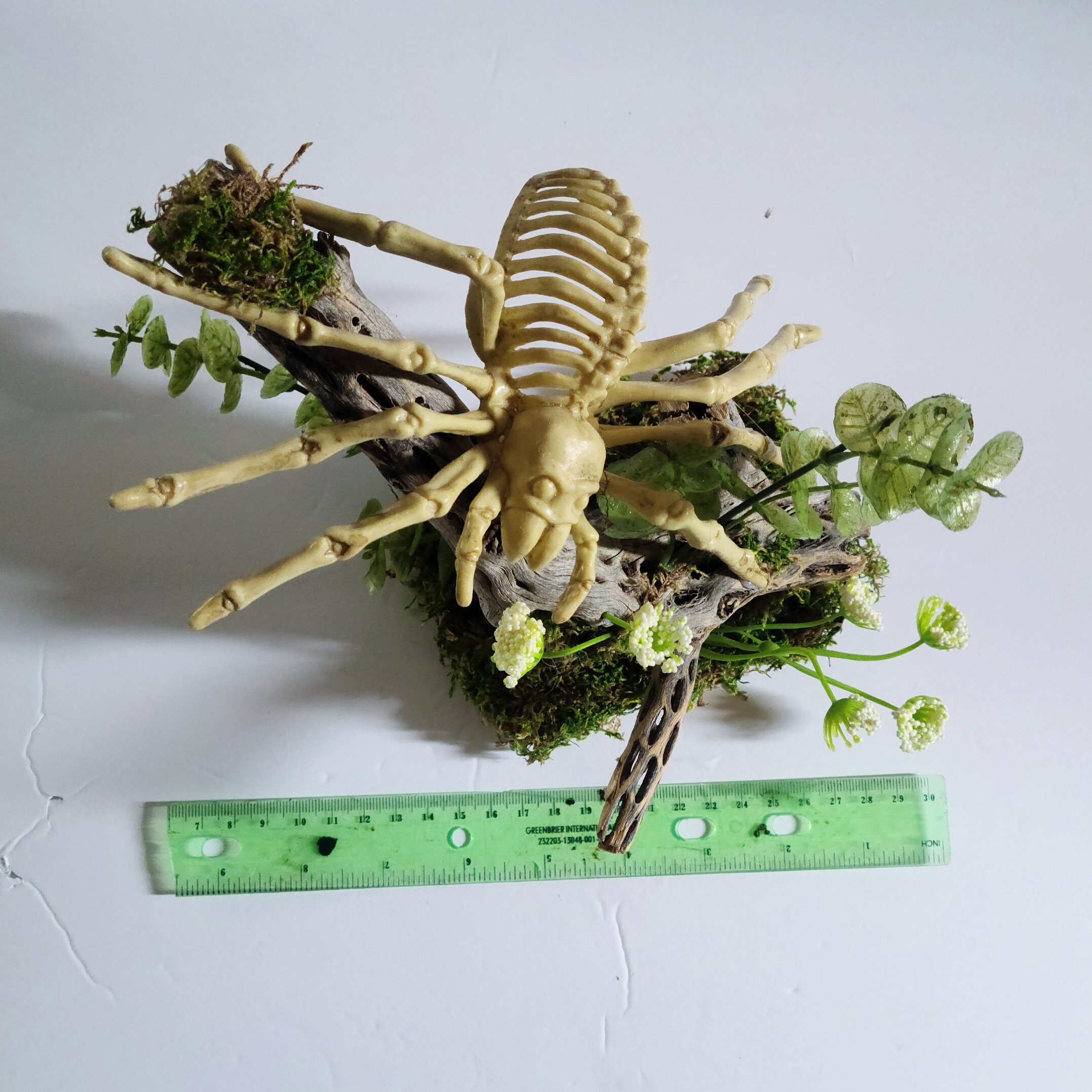 Skull Reptile Decor, Skeleton Tank Decor, Spider Decor, Reptiles ...