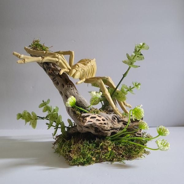 Reptile Tank Decor Etsy