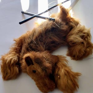 May include: A brown furry puppet of a dog with a long tail and a black control rod. The puppet is lying on its back with its legs in the air.