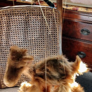 May include: A brown and white furry puppet hanging from a wooden chair. The puppet is attached to strings that are controlled by a hand off-screen.