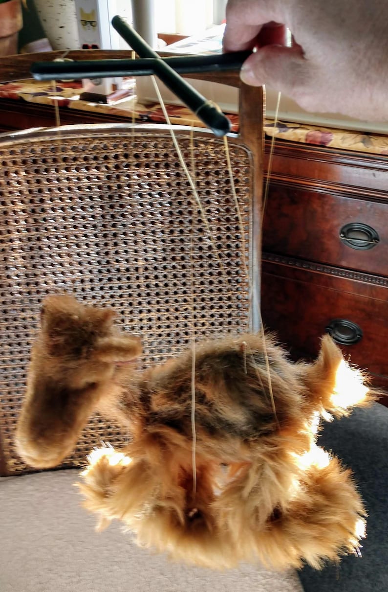 May include: A brown and white furry puppet hanging from a wooden chair. The puppet is attached to strings that are controlled by a hand off-screen.