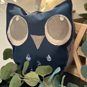 Puede incluir: Una almohada azul en forma de búho con grandes ojos blancos y una pequeña nariz triangular. La almohada tiene un patrón floral y está decorada con cuentas azules y blancas.