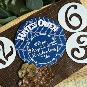 Cartes photo pour le mois de bébé, marqueurs d'étape importante, disques de chiffres pour la célébration du nouveau-né, bleu