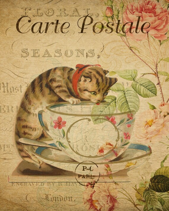 Adorable Cat Vintage French PostcardIdeal for a child's Etsy