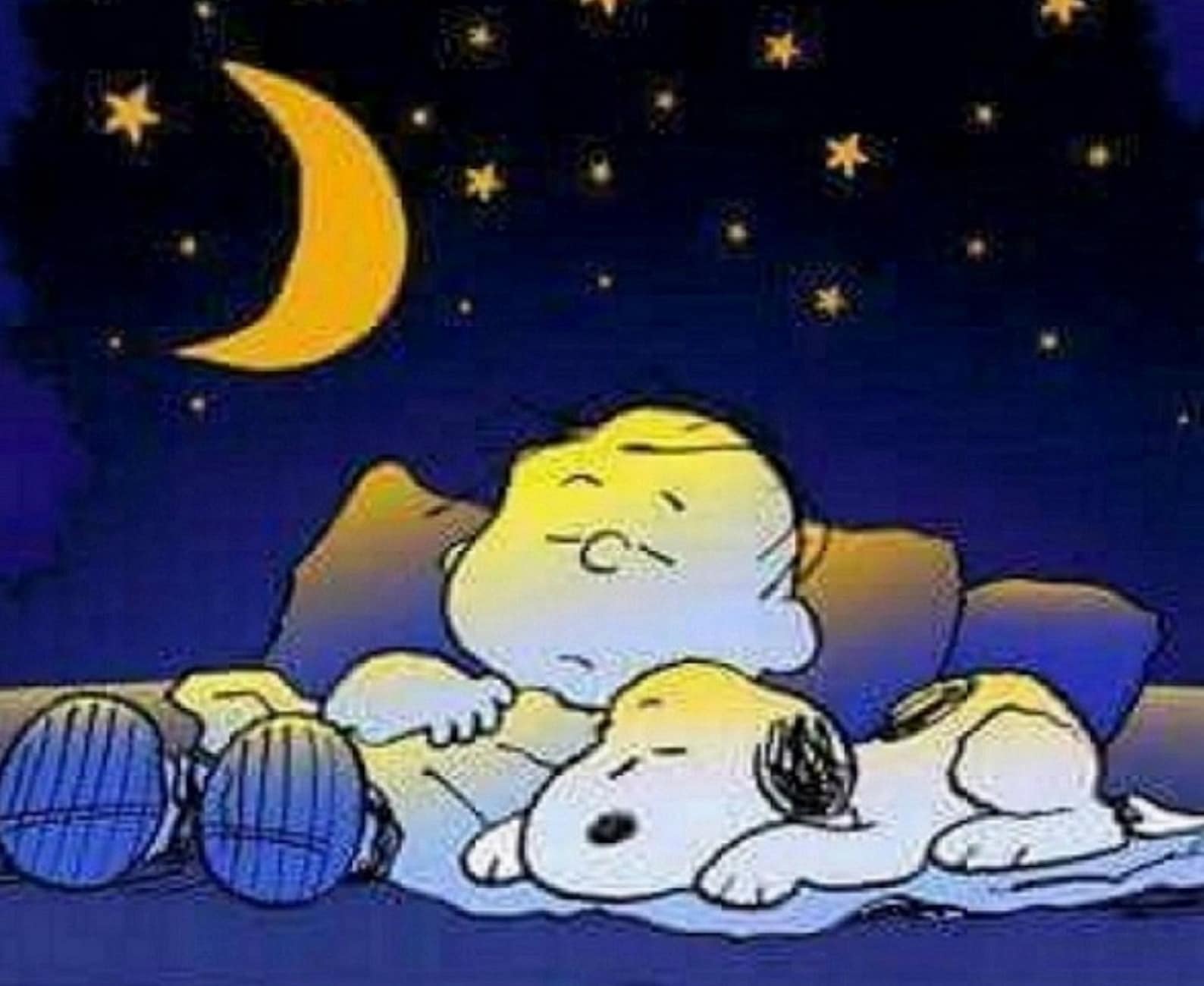Good Night Peanuts Gang/Snoopy & Charlie Brown Etsy