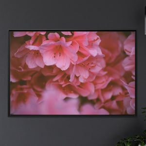 Pink Rhododendron Flowers, Color Photography, Printed on Matte Canvas, Black Frame, Wall Art, Flower Art, Home Decor