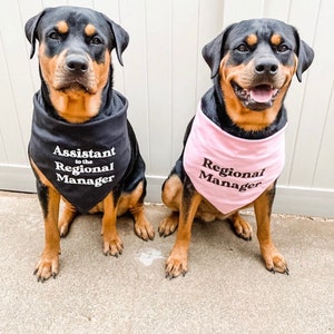 The Office Themed Dog Bandanas (Dunder Mifflin, Assistant to the Regional Manager, Bears Beats Battlestar Gallactica)