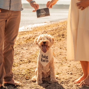 Pañuelo para perro Big Bro para anunciar el nacimiento de un bebé, revelar el género, idea para involucrar a las mascotas, decoración para baby shower, regalo, neutral, minimalista, sesión de fotos