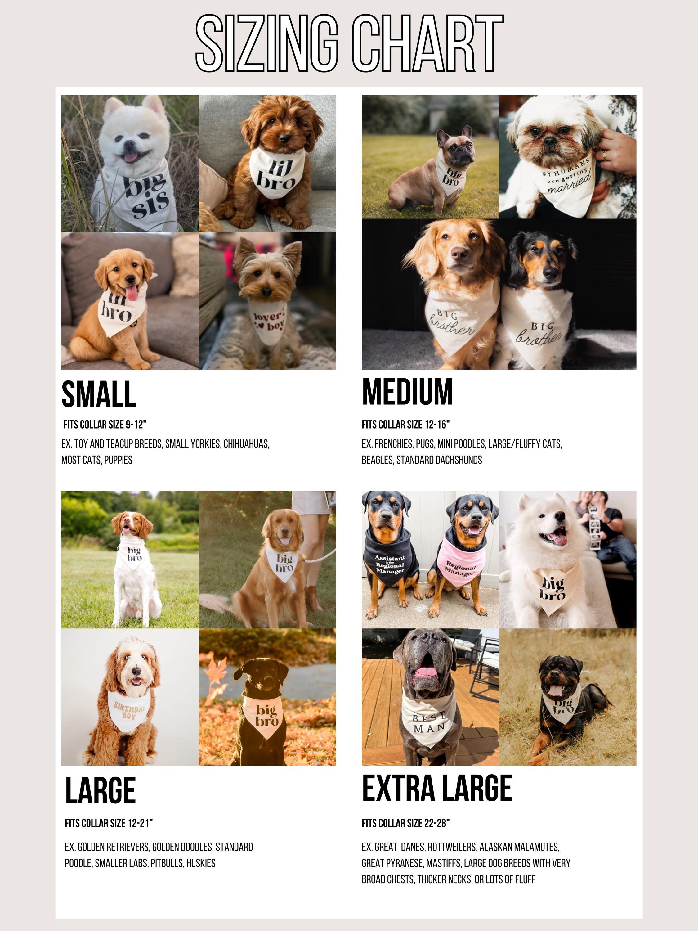 Lustiges Hunde-Halstuch Für Hochzeiten & Verlobungen - 'Dog Of Honor' Mit Spruch - Weiches Polyester-Bandana Für Kleine & Mittlere Hunde