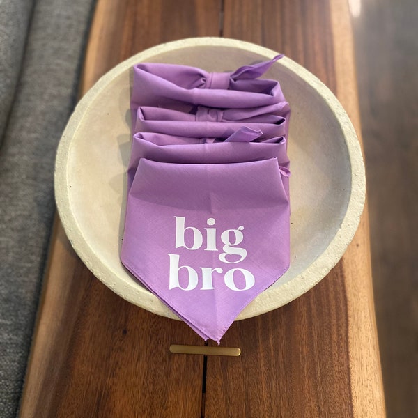 Lavender Big Sis or Bro Dog Bandana (For Easter baby announcement, Spring, birth announcement, maternity photoshoot, baby shower gift idea)
