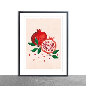 Pomegranate / Kitchen Art Print / A4 / Wall Art / Illustration / Home Decor / Fruit Art Print / Mother's day