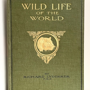 Hollow Book Safe, Wedding Ring Box, Secret Storage Box: Antique Wildlife of the World Encyclopedia, Monkey