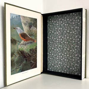 May include: A decorative book box with a hidden compartment. The open book reveals a colorful bird illustration on the left and a floral patterned interior. The book's edges are lined with printed text, and the box is set against a white surface.