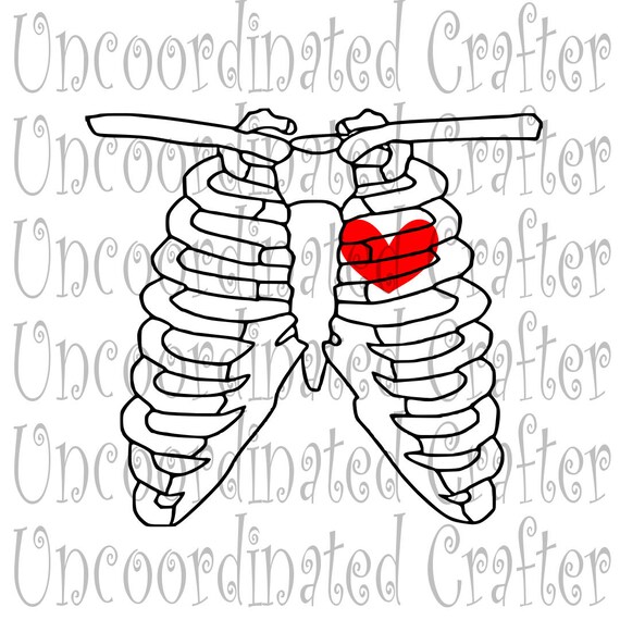 Download Free Chest Xray Svg Radiology Svg Radiologist Svg Rad Tech Etsy SVG Cut Files