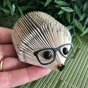 Small Paperbook Hedgehog
