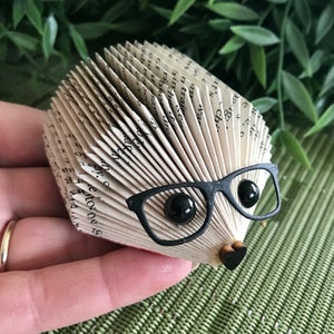 Small Paperbook Hedgehog