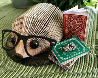 Medium Book Lover Hedgehog