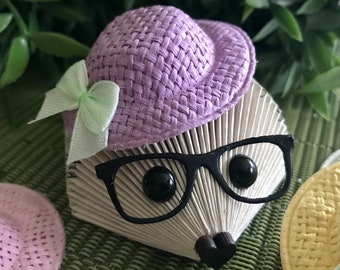 Mother’s Day, Birthday and all occasions hedgehog