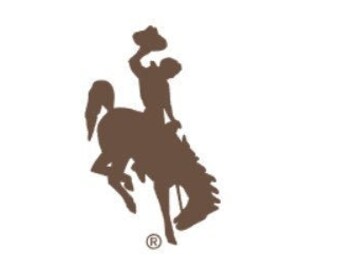 6" University of Wyoming Decal Brown - UW Steamboat Sticker - UW Cowboys - Wyoming Car Decal - Bucking Horse and Rider - Brown Decal Only
