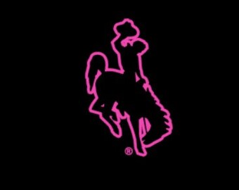 12" University of Wyoming Outline Decal in Pink- UW Steamboat Sticker - UW Cowboys - Wyoming Car Decal - Free Shipping - Pink Outline Only