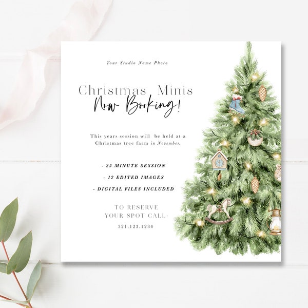 5x5 Christmas Mini Session Marketing Board, Christmas Minis Template, Photography Marketing, Photoshop Template, INSTANT DOWNLOAD!