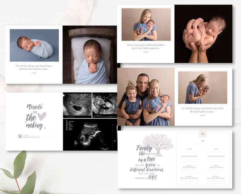 10x10 baby album template for photographers newborn photobook PSD
