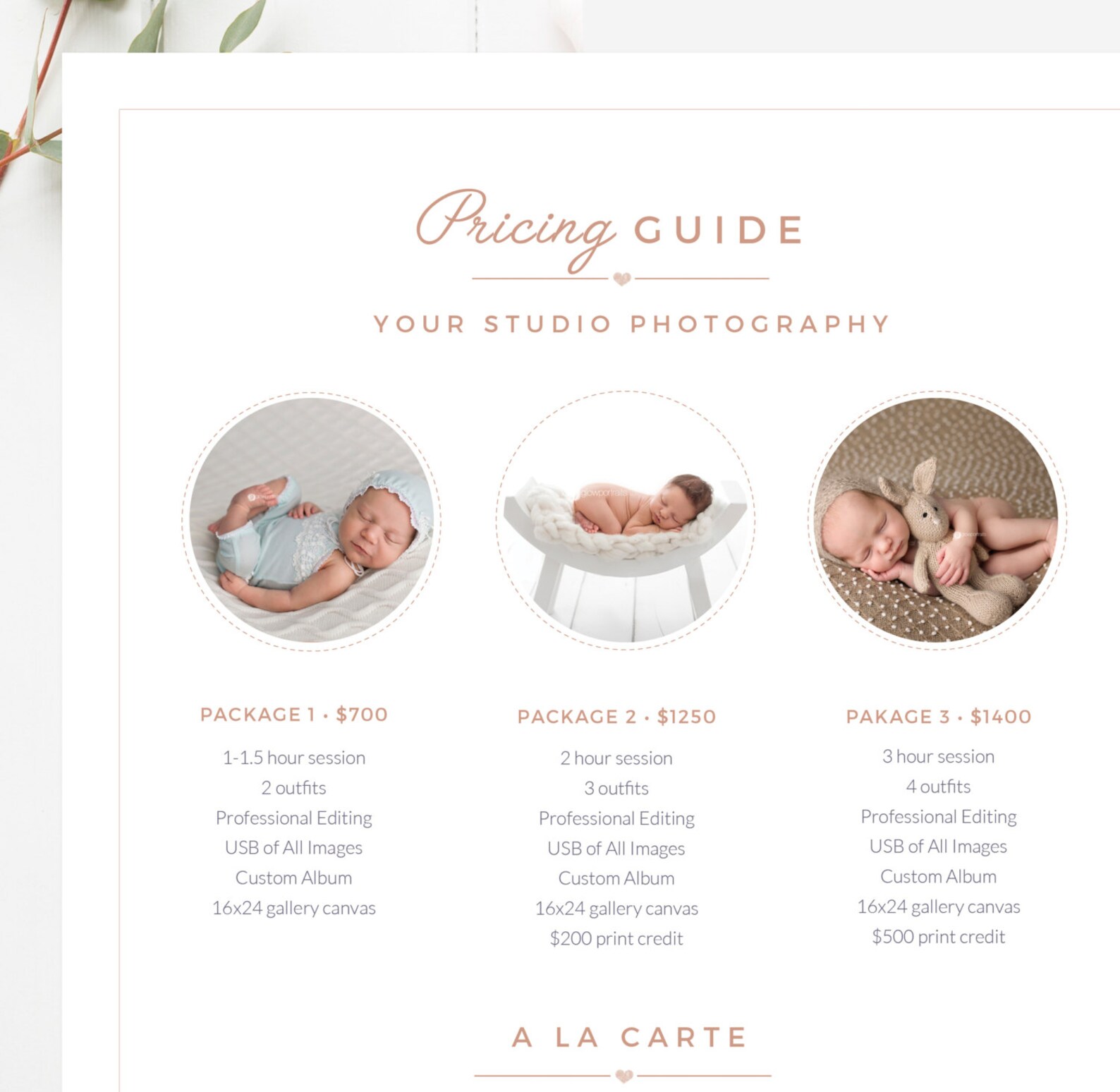 Newborn Pricing Template Photography Pricing Guide Price Etsy