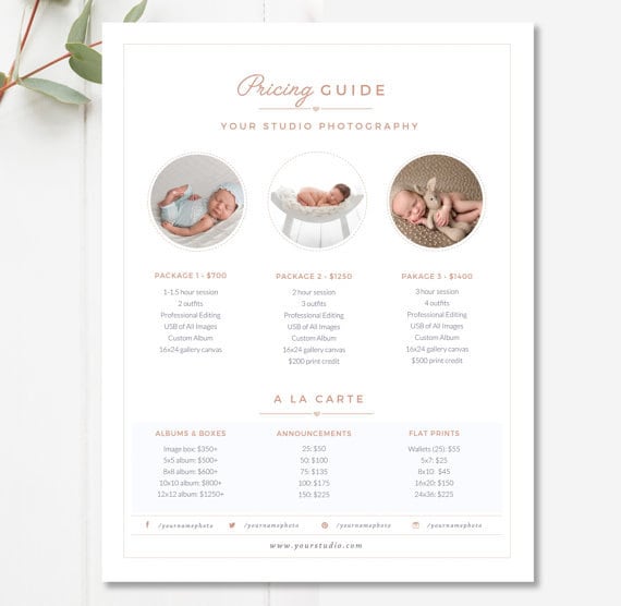 newborn pricing template photography