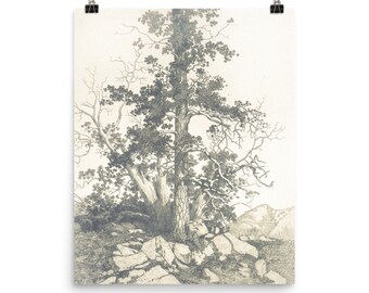 Pine Tree (PRINT) | Vintage Wall Art | Nature sketches | Landscape prints