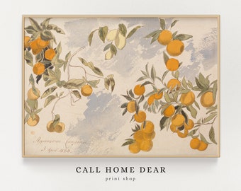 Vintage Fruit (DIGITAL) | Farmhouse Painting | Orange Lemon Wall Art