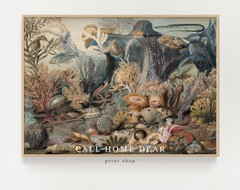 Vintage sealife painting (PRINT) | Ocean painting | Coastal Wall Art