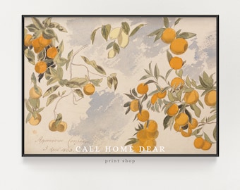 Vintage Fruit (PRINT) | Farmhouse Painting | Orange Lemon Wall Art