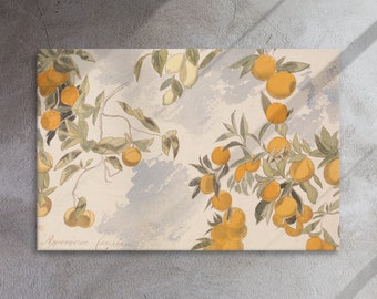 Vintage Fruit (CANVAS) | Farmhouse Painting | Orange Lemon Wall Art