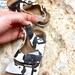 outwoods sandals cow print