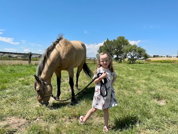 Horse dress for little girl best sale