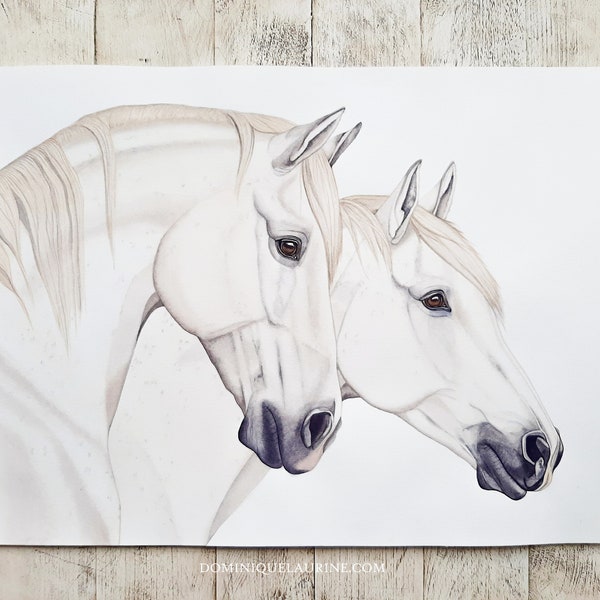 Camargue horses, horse painting, horse watercolor art, horse print giclee, horse watercolor, horse artwork, Dominique Laurine